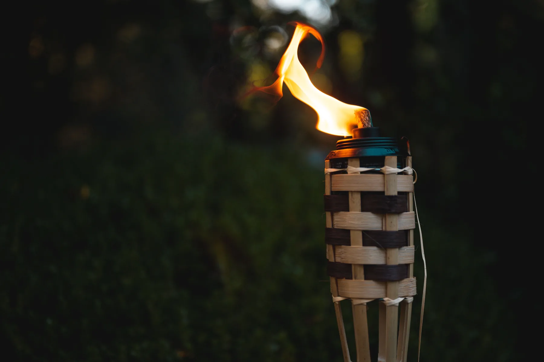 Um archote tiki de bambu com uma chama alta a arder ao crepúsculo contra folhagem escura